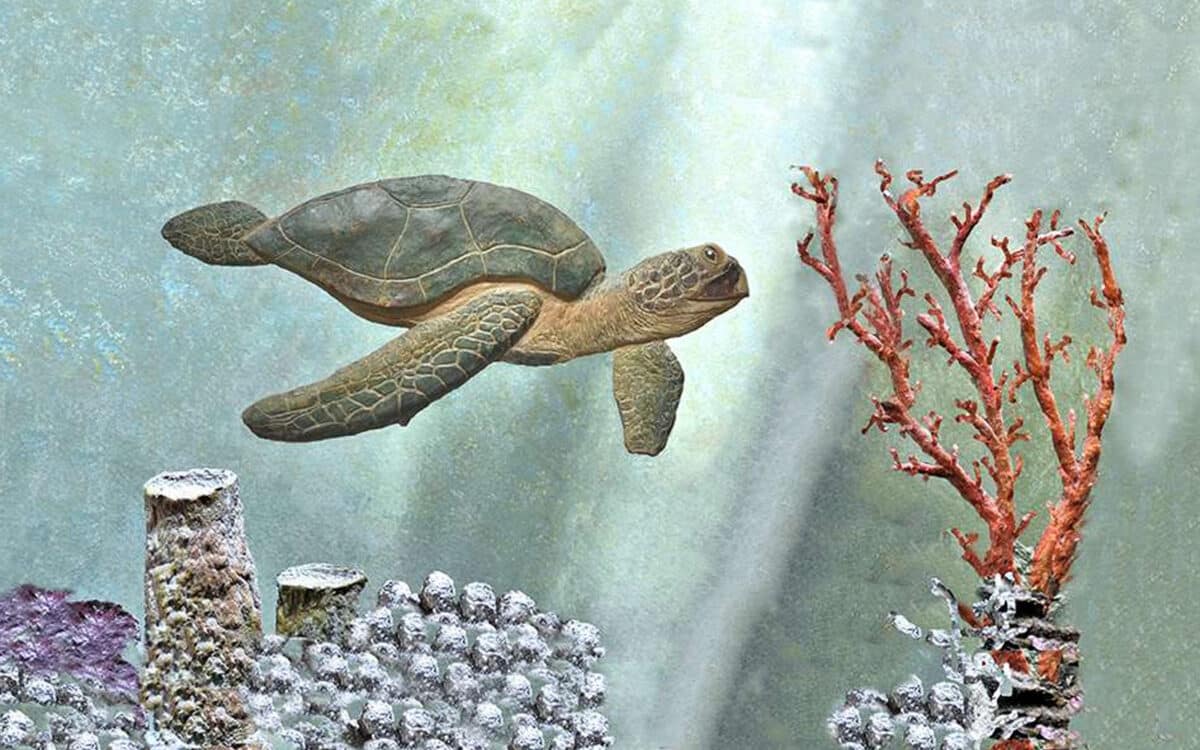 Digital art of a sea turtle swimming near a coral reef with a sunlit blue water background.