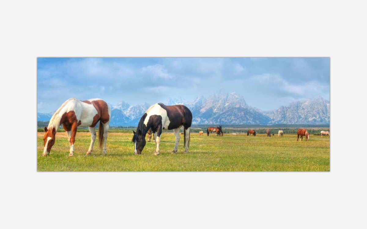 A painting of grazing horses in a field with majestic mountains in the background.