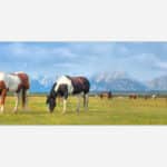 A painting of grazing horses in a field with majestic mountains in the background.