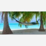 A hammock tied between two palm trees on a tranquil tropical beach with a clear turquoise sea in the background.