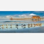 A photograph of seagulls on a sunlit beach with reflections on the water and a wooden pier in the background under a blue sky.