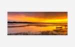 Blazing Skies