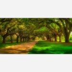 Boone Hall