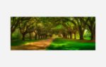 Boone Hall