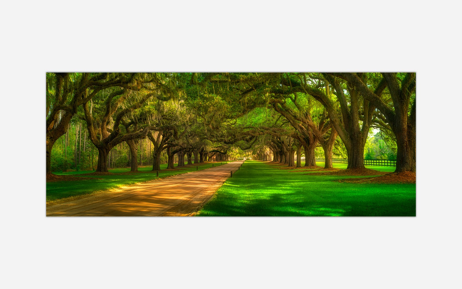Boone-Hall-1 Boone Hall - Image 1