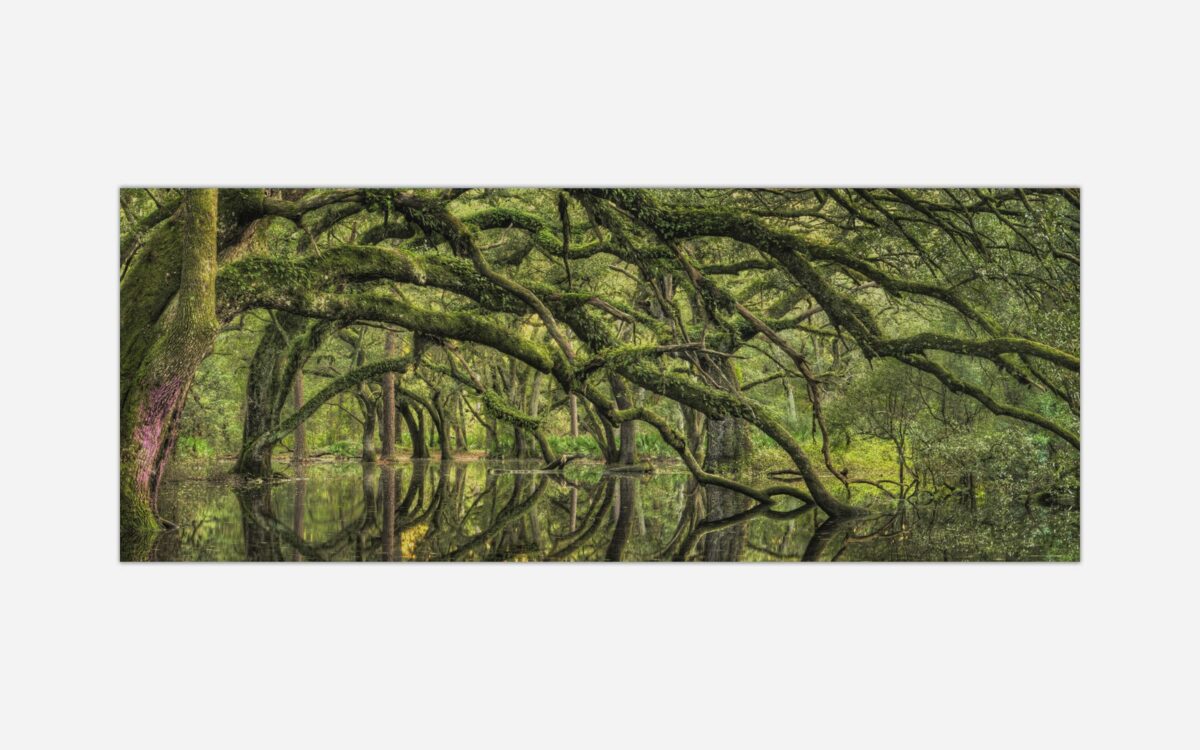 Oak Garden