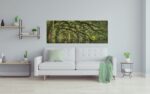 Oak Garden - Image 2