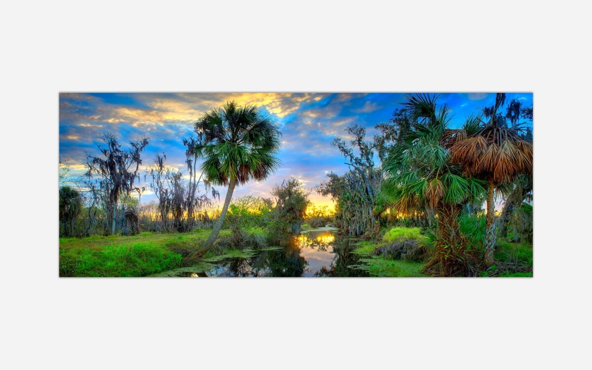 Southern Symphony