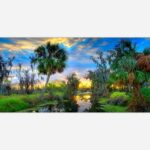 Southern Symphony